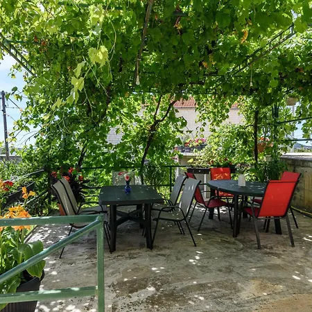 Eva Apartman *